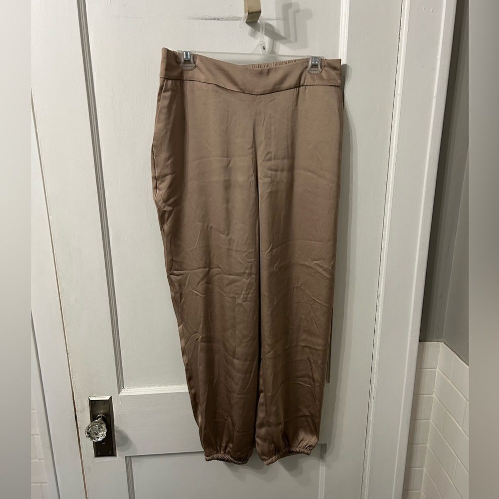 NWT Express Tan Ankle Silky Pants